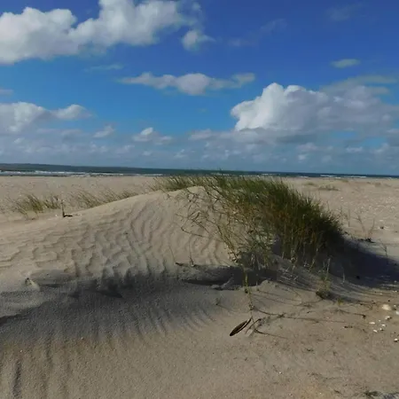 25 Person In Romo-by Traum Molby