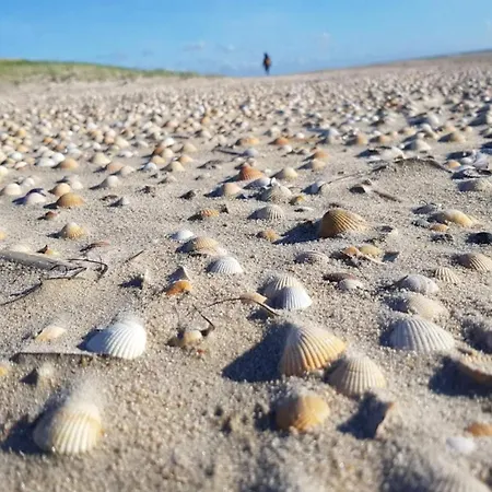 25 Person In Romo-by Traum * Molby