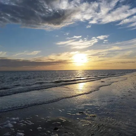 25 Person In Romo-by Traum * Molby