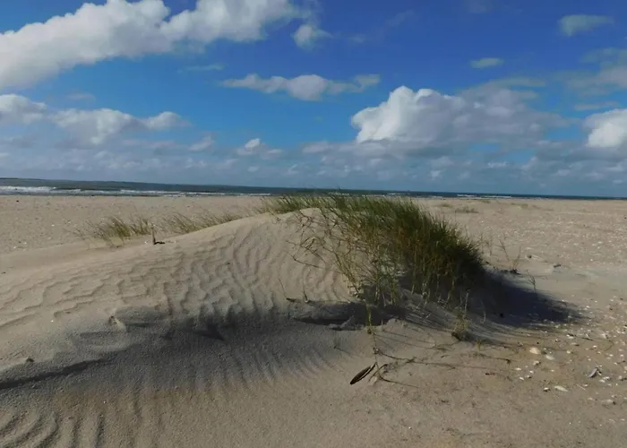 25 Person In Romo-by Traum Molby