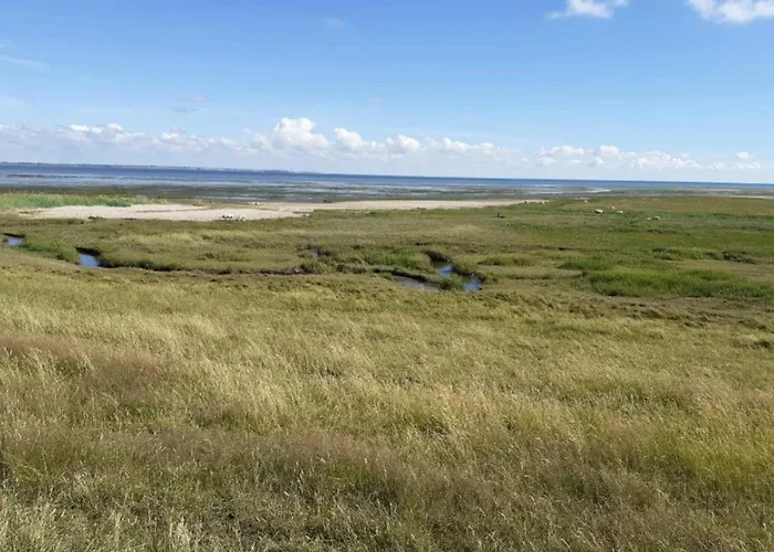 Feriehus 25 Person In Romo-by Traum Molby