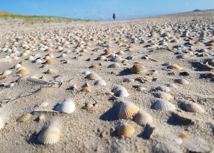 25 Person In Romo-by Traum * Molby