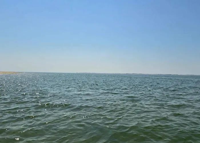 Feriehus 25 Person In Romo-by Traum *