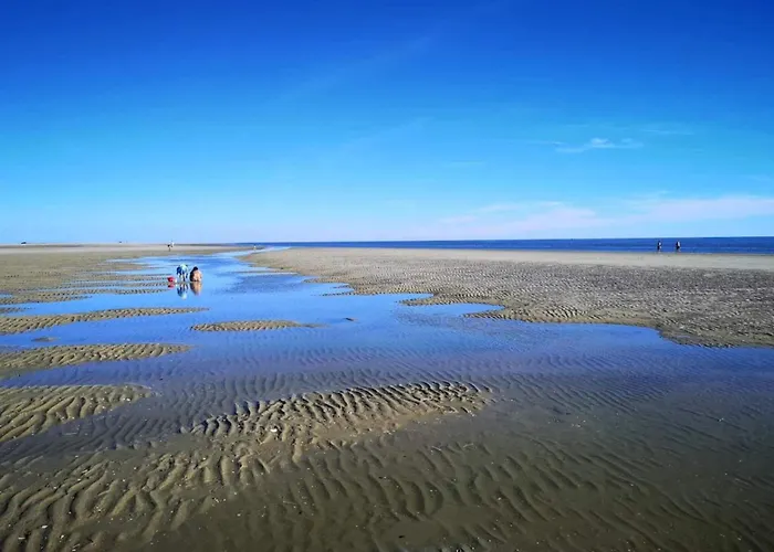 25 Person In Romo-by Traum Molby