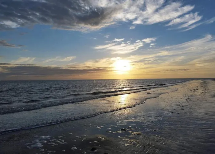 25 Person In Romo-by Traum * Molby