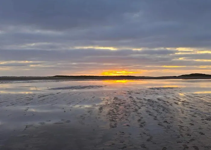 Feriehus 25 Person In Romo-by Traum