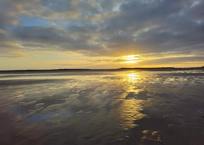 Feriehus 25 Person In Romo-by Traum