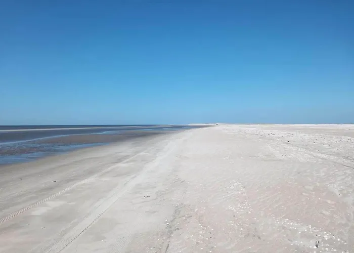 Feriehus 25 Person In Romo-by Traum *